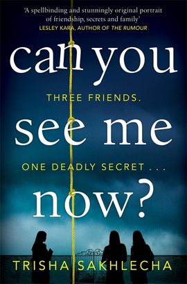 Book cover for Can You See Me Now?