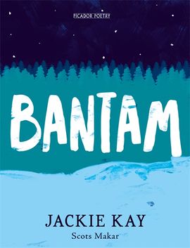 Book cover for Bantam