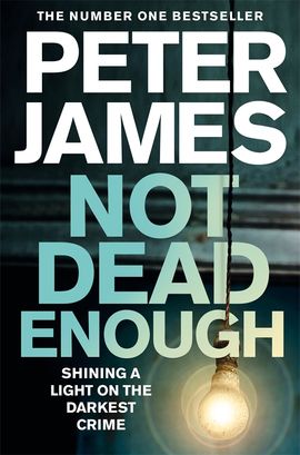 Book cover for Not Dead Enough