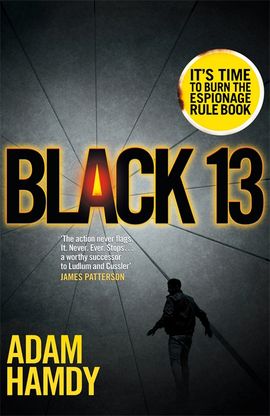 Book cover for Black 13