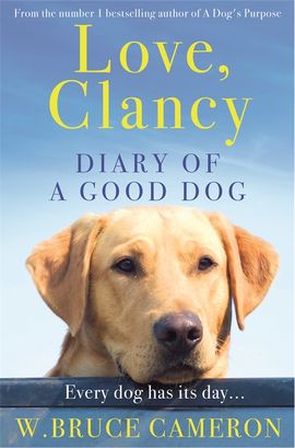 Book cover for Love, Clancy