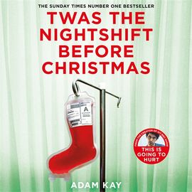 Book cover for Twas The Nightshift Before Christmas