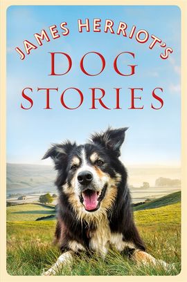 Book cover for James Herriot's Dog Stories