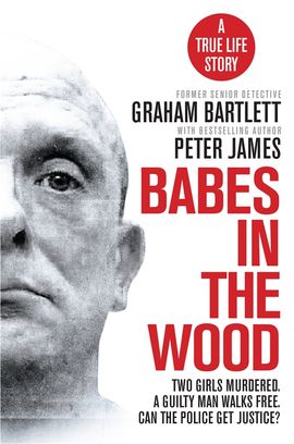 Book cover for Babes in the Wood