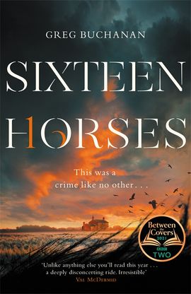 Book cover for Sixteen Horses