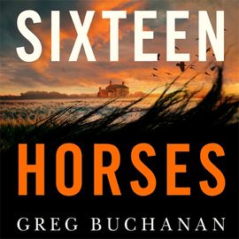 Book cover for Sixteen Horses