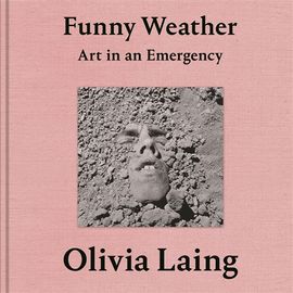 Book cover for Funny Weather