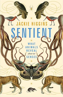 Book cover for Sentient