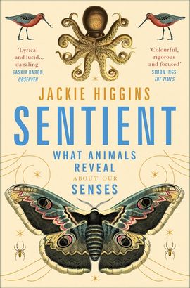 Book cover for Sentient