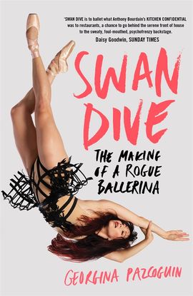 Book cover for Swan Dive