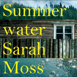 Book cover for Summerwater