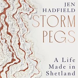 Book cover for Storm Pegs