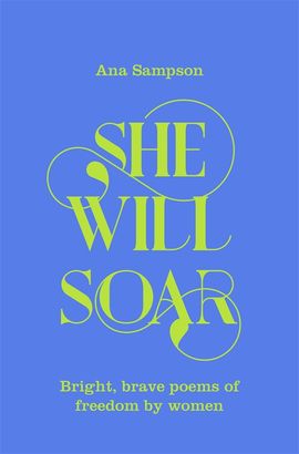 Book cover for She Will Soar