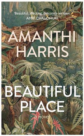 Book cover for Beautiful Place