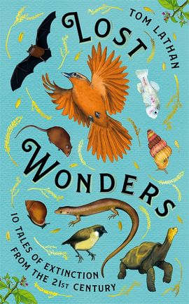 Book cover for Lost Wonders
