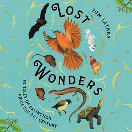 Book cover for Lost Wonders