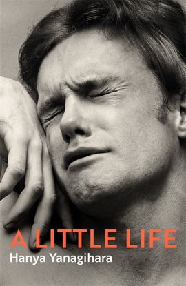 Book cover for A Little Life