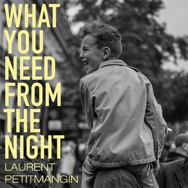 Book cover for What You Need From The Night