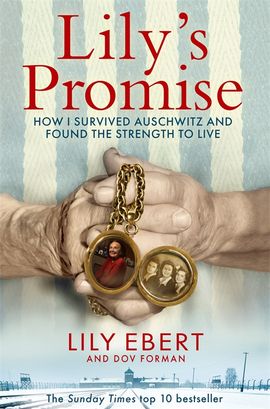 Book cover for Lily's Promise