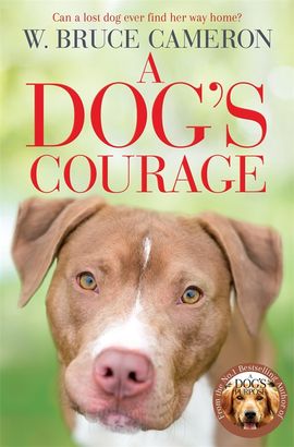 Book cover for A Dog's Courage