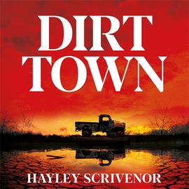 Book cover for Dirt Town