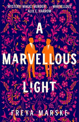 Book cover for A Marvellous Light