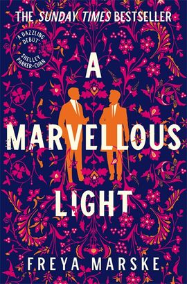 Book cover for A Marvellous Light