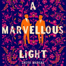 Book cover for A Marvellous Light