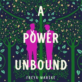 Book cover for A Power Unbound