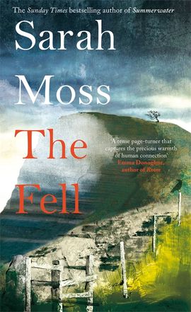 Book cover for The Fell