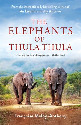 Book cover for The Elephants of Thula Thula