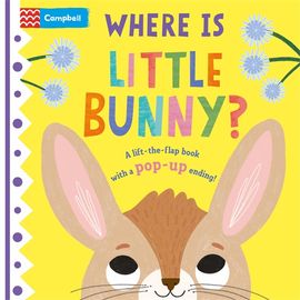 Book cover for Where is Little Bunny?