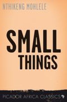 Book cover for Small Things