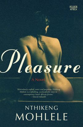 Book cover for Pleasure