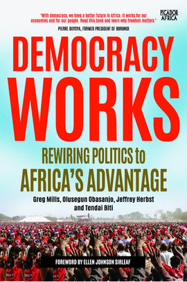 Book cover for Democracy Works