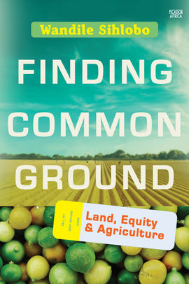 Book cover for Finding Common Ground