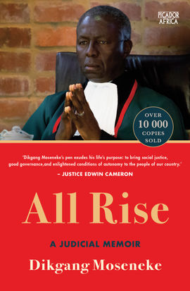 Book cover for All Rise