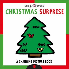 Book cover for Christmas Surprise