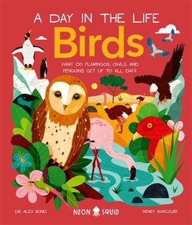 Book cover for Birds (A Day in the Life)