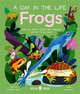 Book cover for Frogs (A Day in the Life)