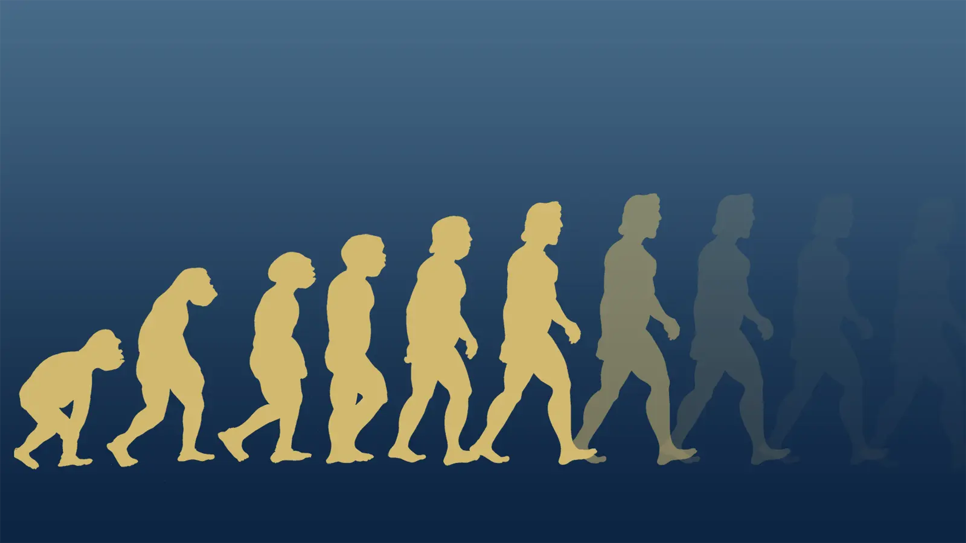 Silhouettes of the stages of human evolution eventually fading out to nothing