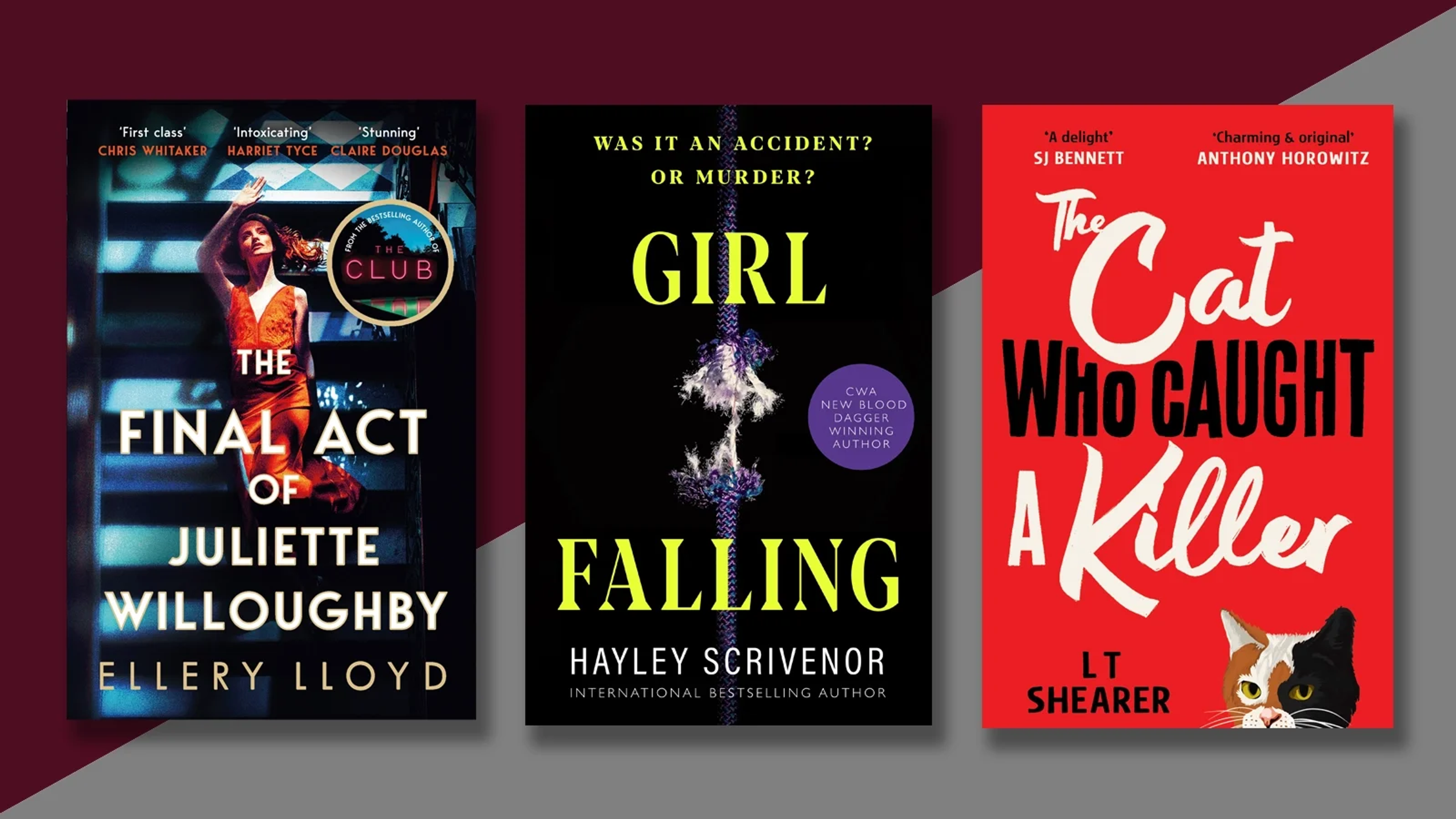 9 Must-read crime & thriller gems every mega fan needs on their shelf
