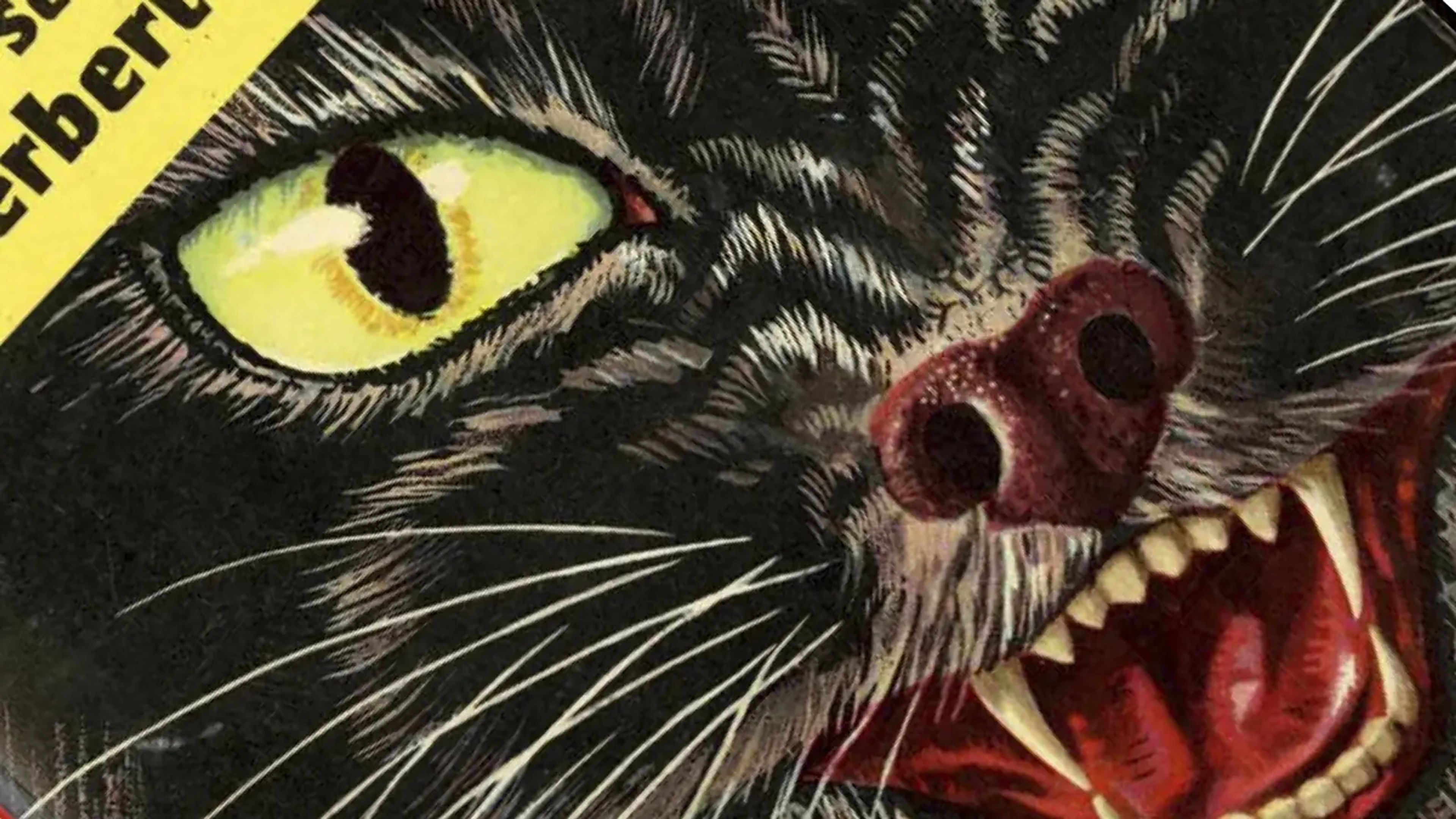 Close up of an attacking cat from the cover of a Pan anthology of British horror writing