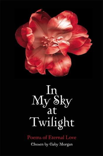 Book cover for In My Sky at Twilight