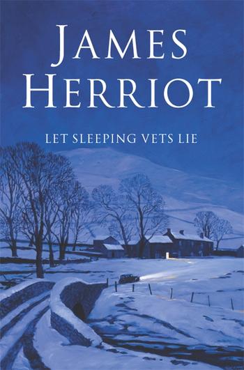 Book cover for Let Sleeping Vets Lie