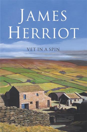 Book cover for Vet in a Spin