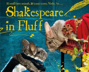 Book cover for Shakespeare in Fluff