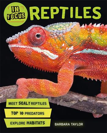 Book cover for In Focus: Reptiles