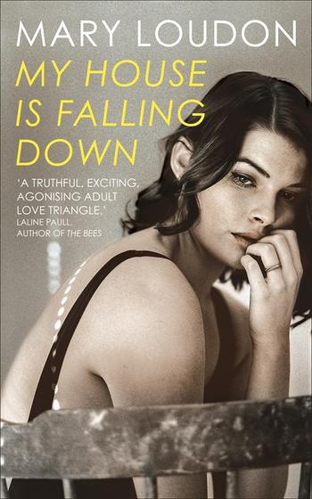 Book cover for My House is Falling Down