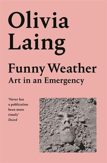 Book cover for Funny Weather